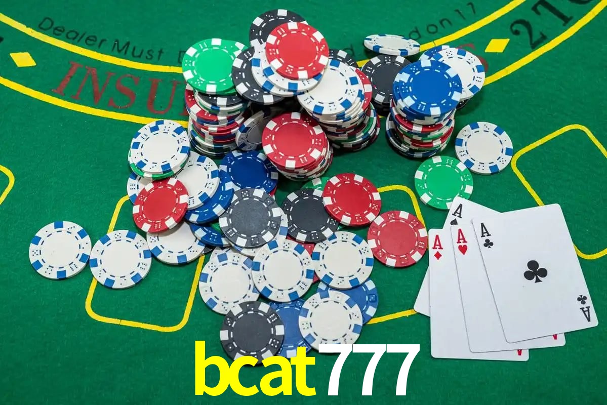 Experiência VIP bcat777